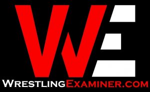 WrestlingExaminer final logo Big White