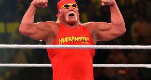 Hulk Hogan - Wrestling Examiner