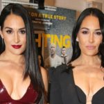 Bella Twins - Wrestling Examiner