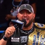 Bully Ray - Wrestling Examiner