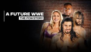 The FCW Story - Wrestling Examiner